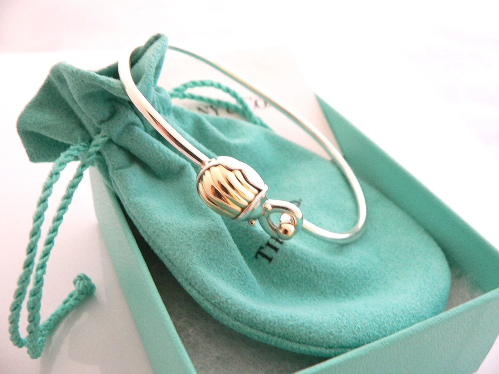 Tiffany & Co Bracelet Lucky Scarab Beetle Silver 18K Bangle Gift Pouch Love T Co