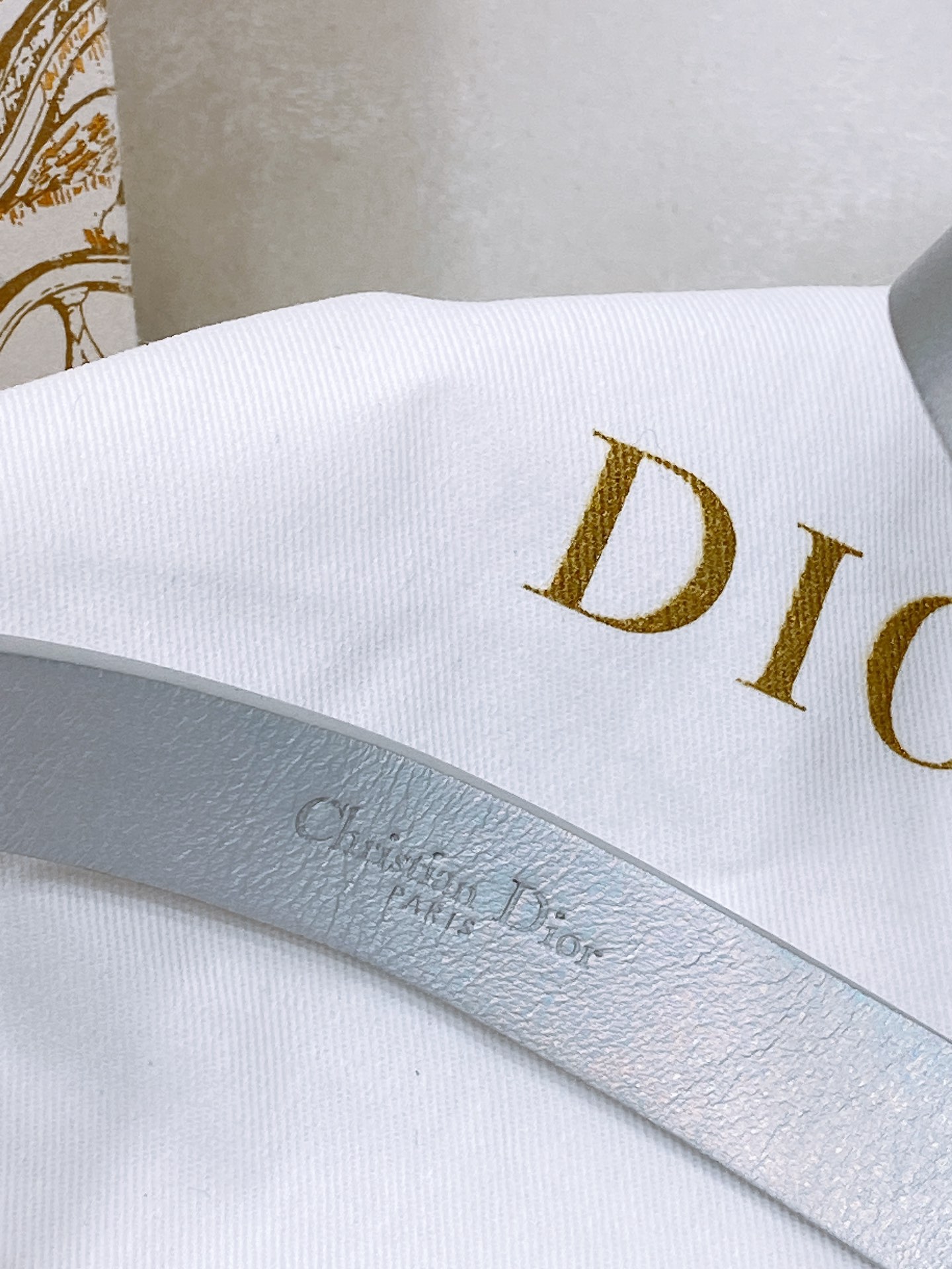 Dior Leather Belts 1:1 Mirror Version