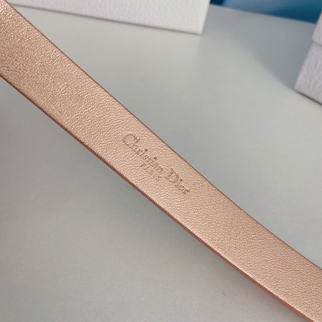 Dior Leather Belts 1:1 Mirror Version