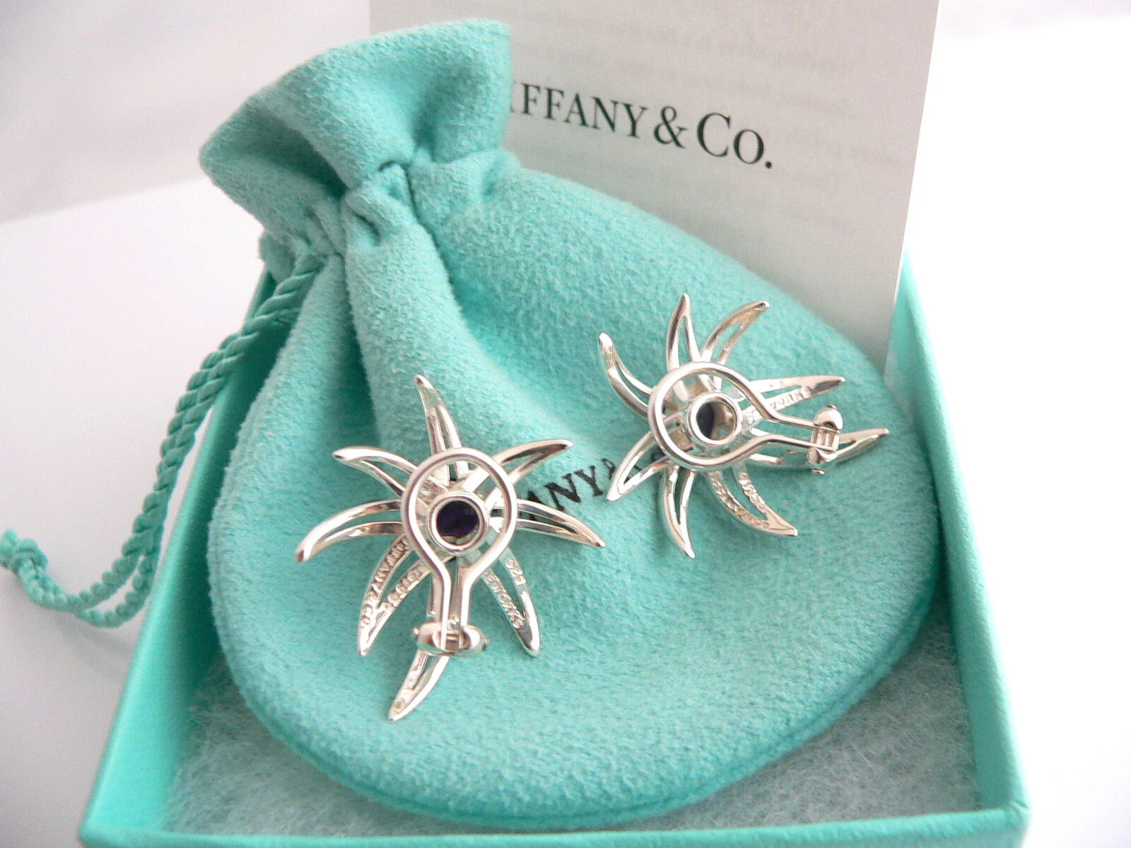 Tiffany & Co Amethyst Earrings Gemstone Fireworks Clip On Love Gift Pouch Art