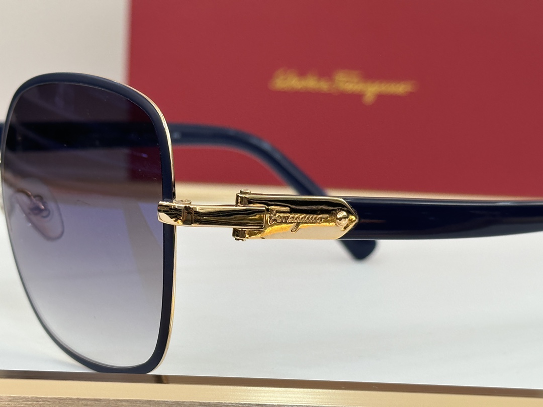 Ferragamo Sunglasses