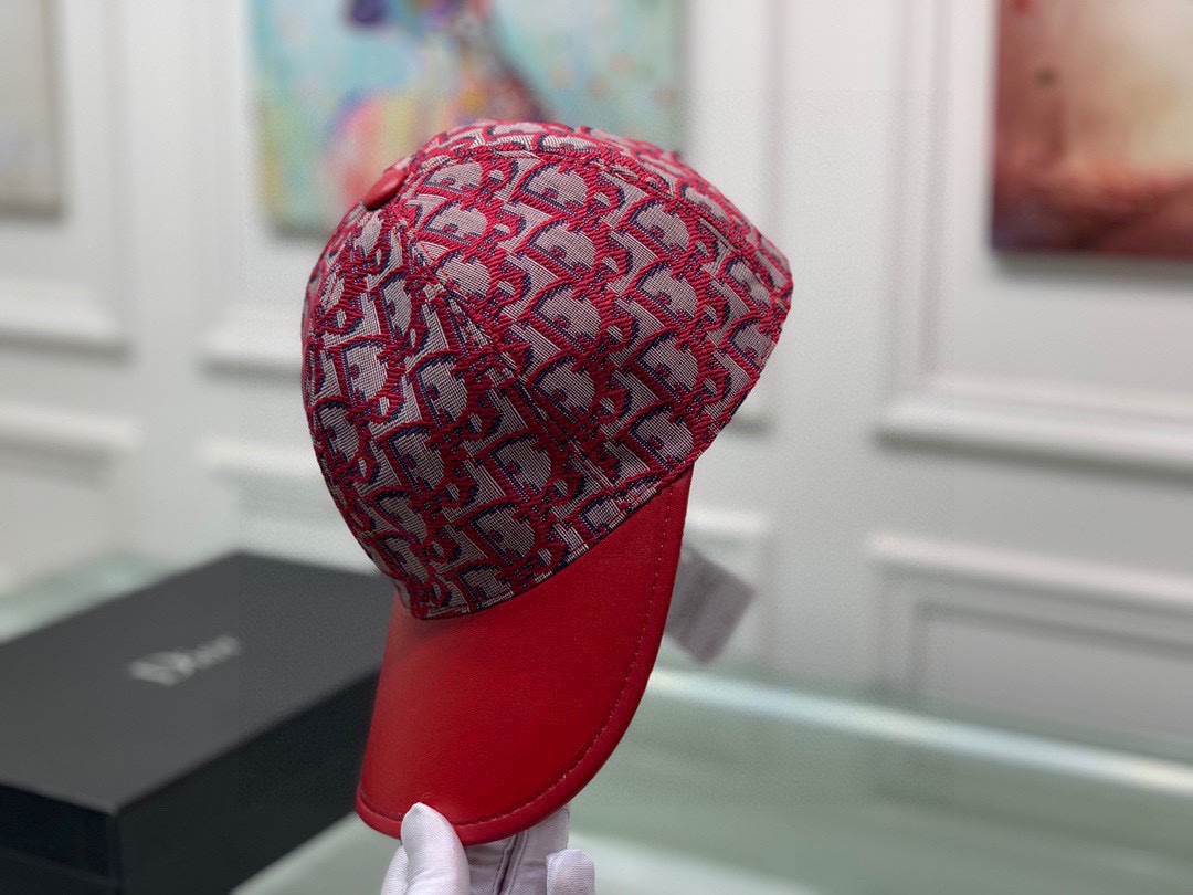 Dior Hats(Replica)
