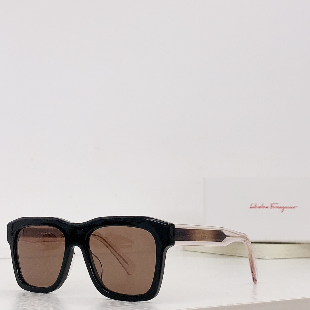 Ferragamo Sunglasses
