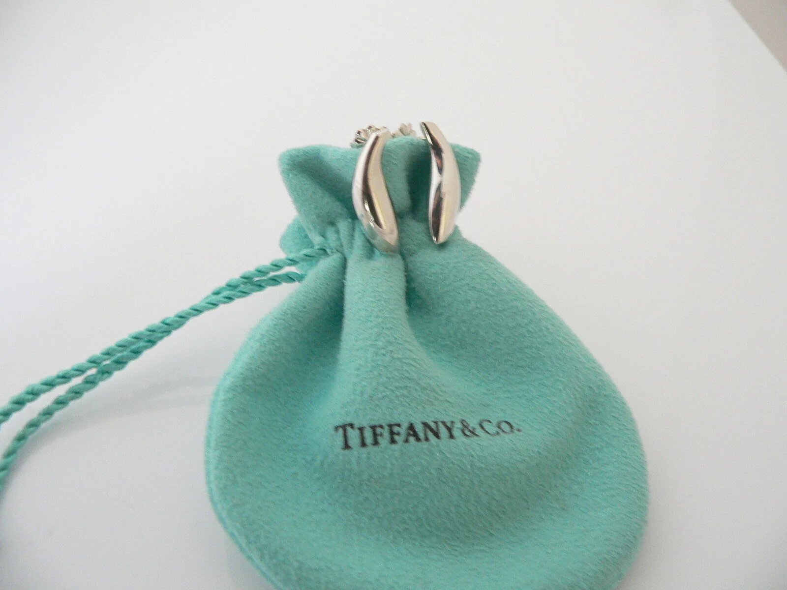 Tiffany & Co Silver Jewelry Gehry Nature Fish Earrings Studs Gift Pouch Love