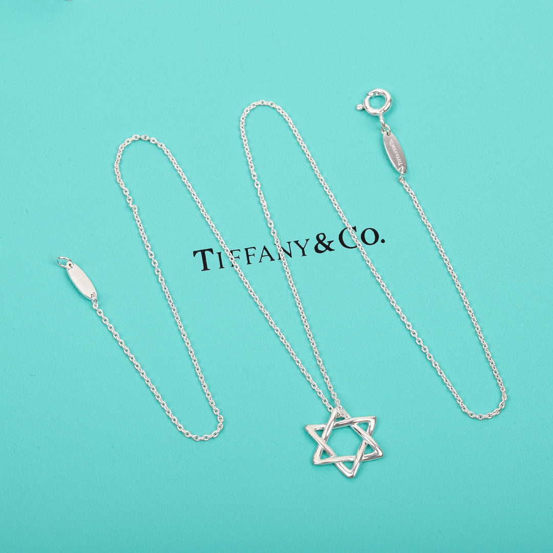 Tiffany Elsa Peretti® Star of David Pendant