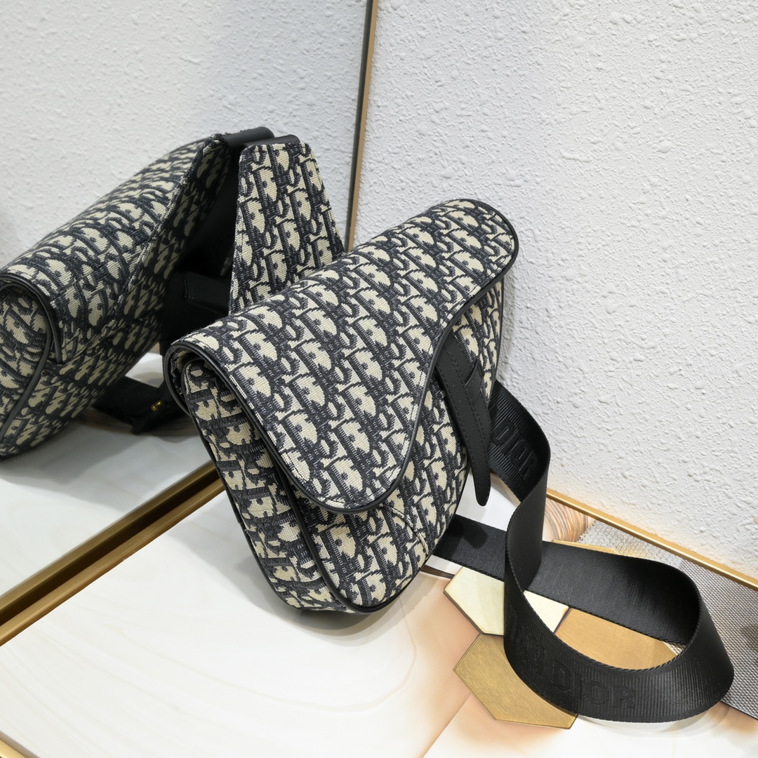 Dior Homme Pre-Fall Saddle Ophidia Shoulder Bag Handbag