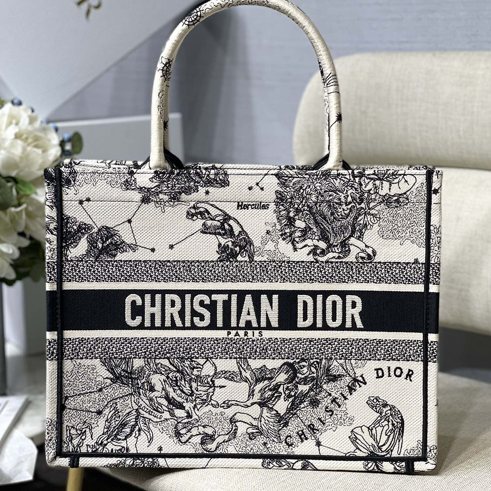 DIOR Book Tote Bags Collection(Replica)
