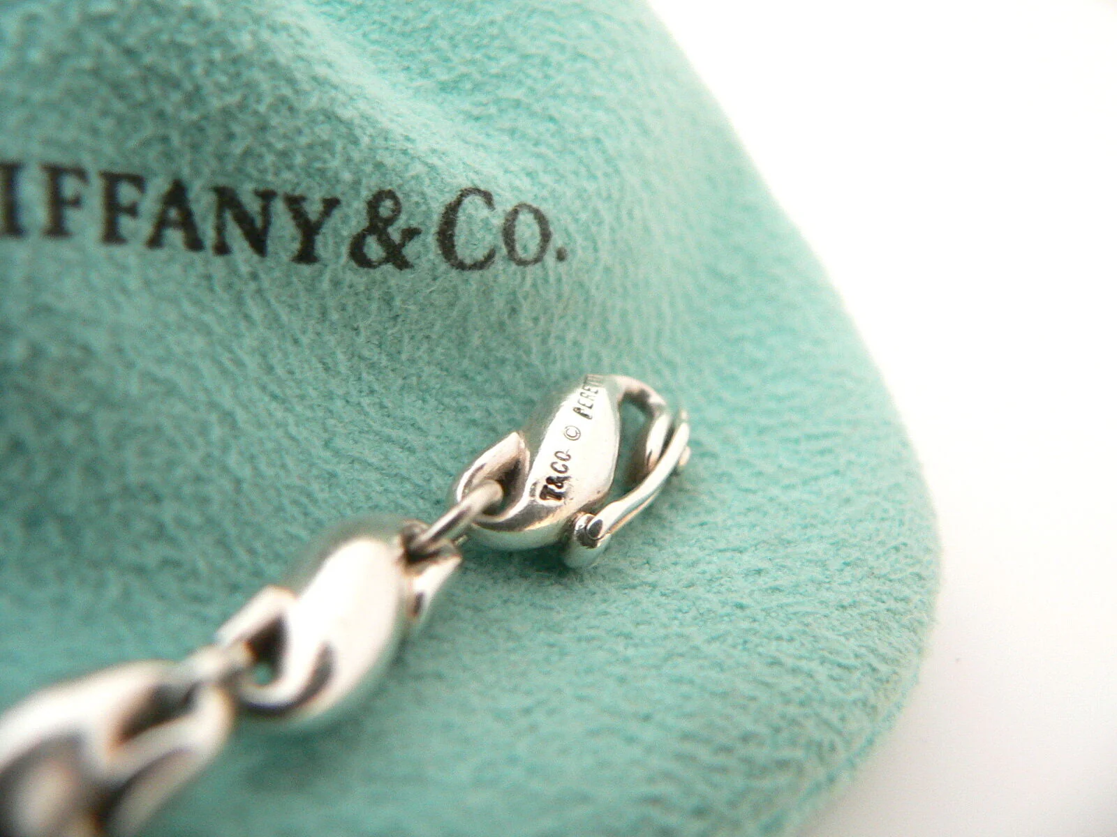 Tiffany & Co Seahorse Bracelet Peretti Chain Link Charm Bangle Sea Ocean Lover