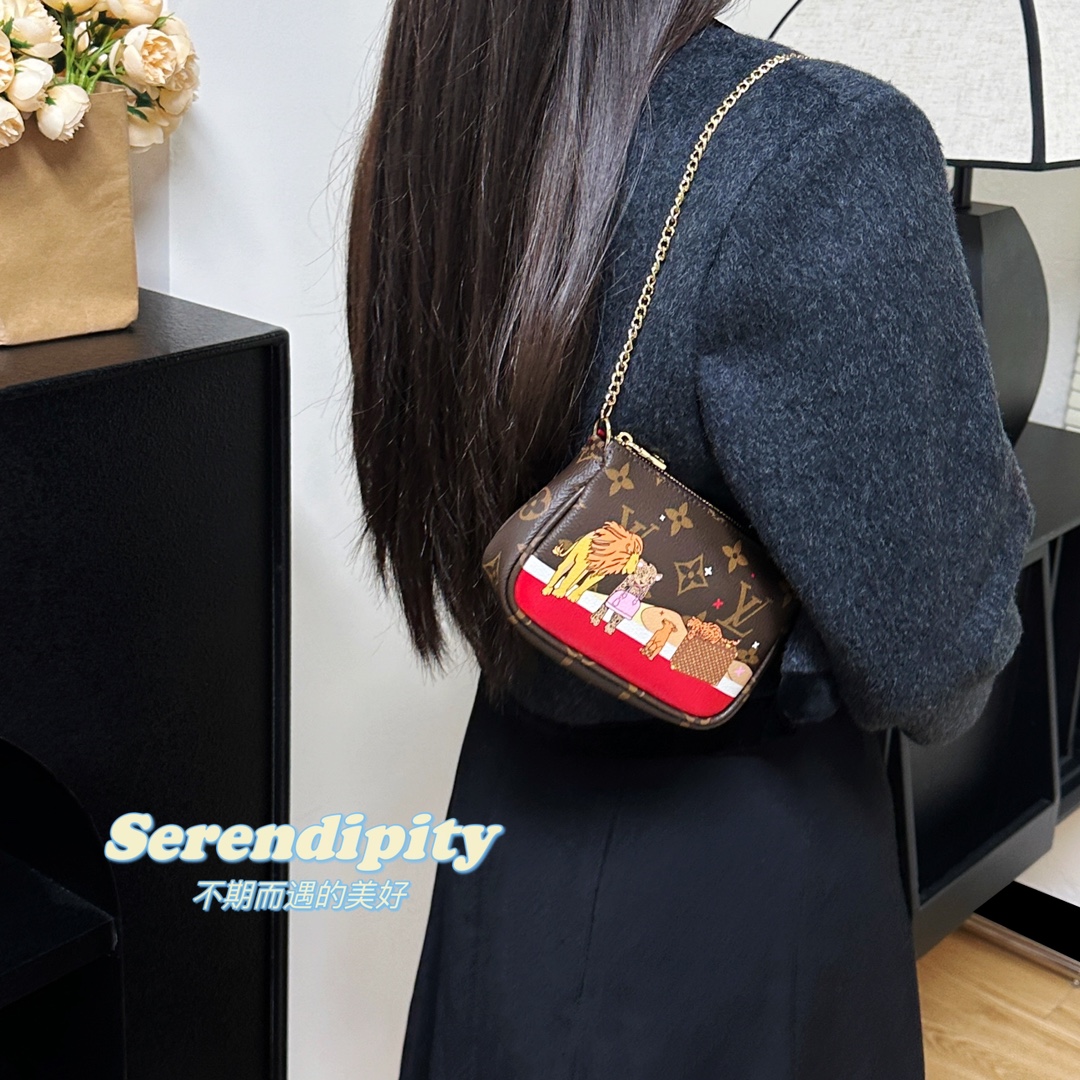 Louis Vuitton Multi Pochette Accessories Mini Bag Purse