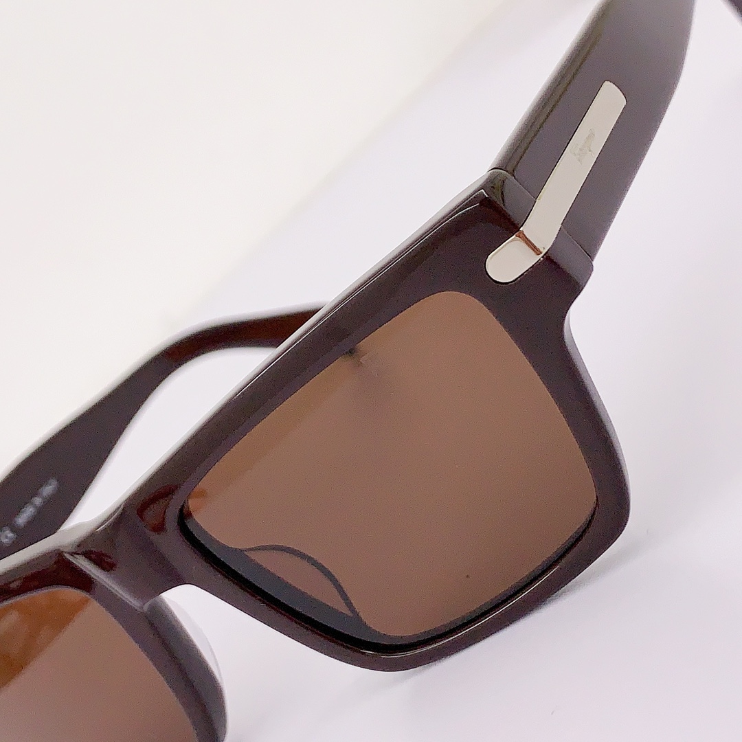 Ferragamo Sunglasses