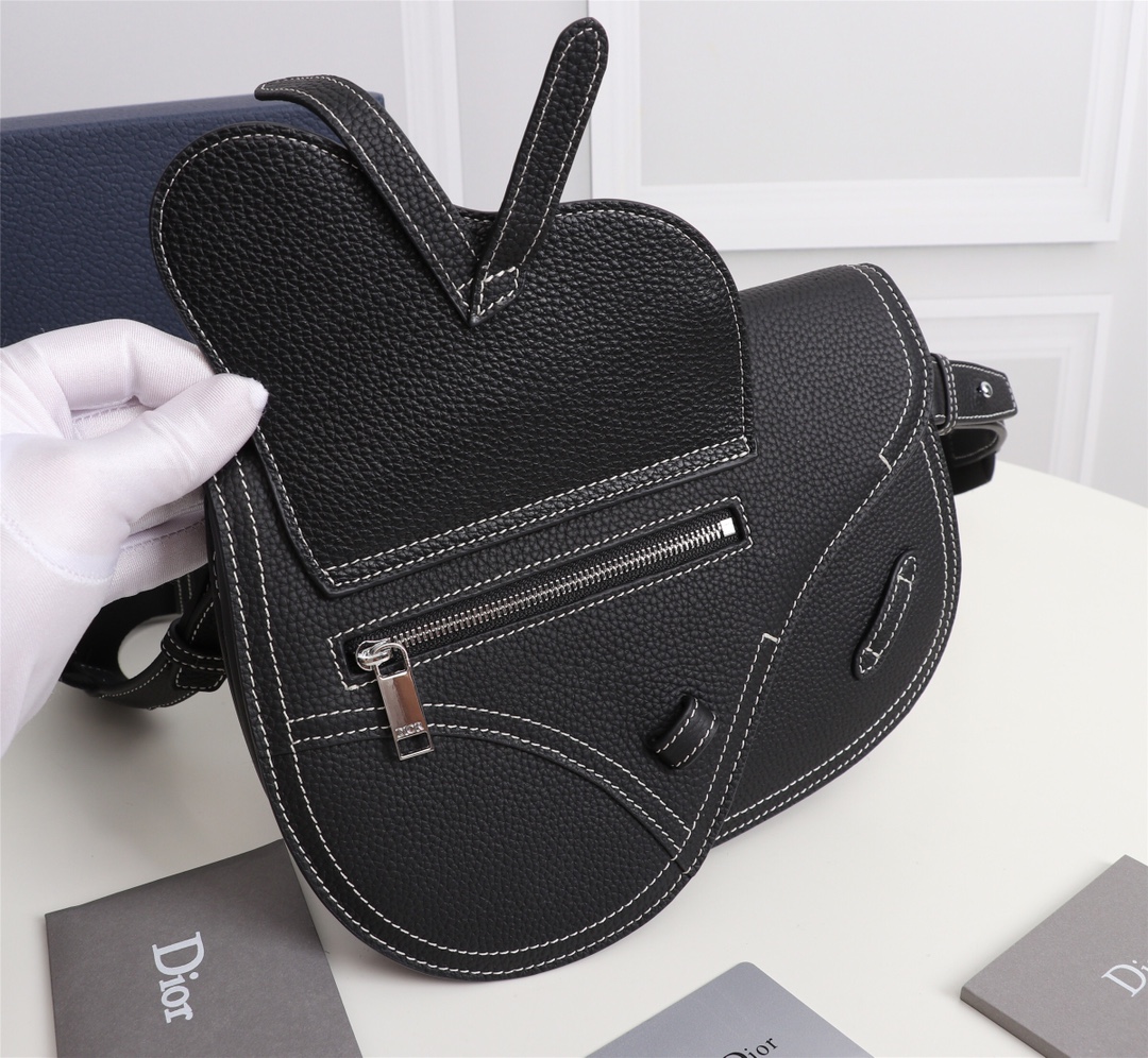 DIOR Saddle Men  Embroidery Crossbody Bag 10A(Replica)