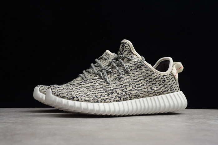 Yeezy Boost 350 Turtle Dove AQ4832