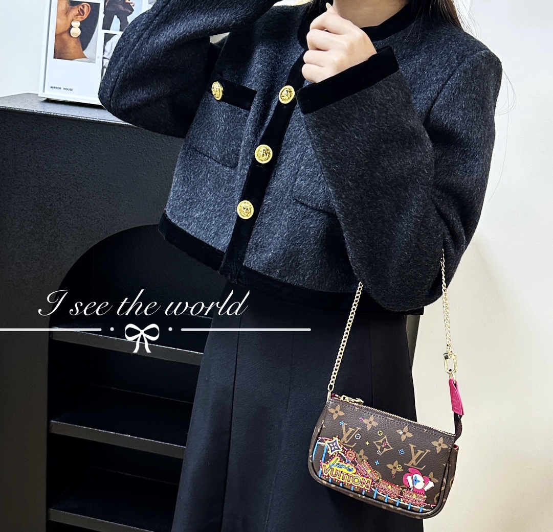 Louis Vuitton Multi Pochette Accessories Mini Bag Purse