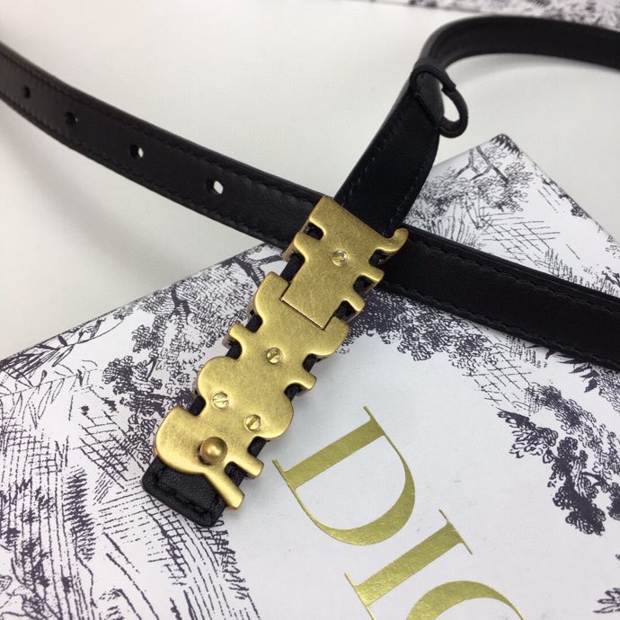 Dior Leather Belts 1:1 Mirror Version