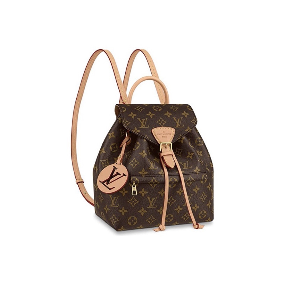 Louis Vuitton LV Montsouris Backpack Bag(Replica)