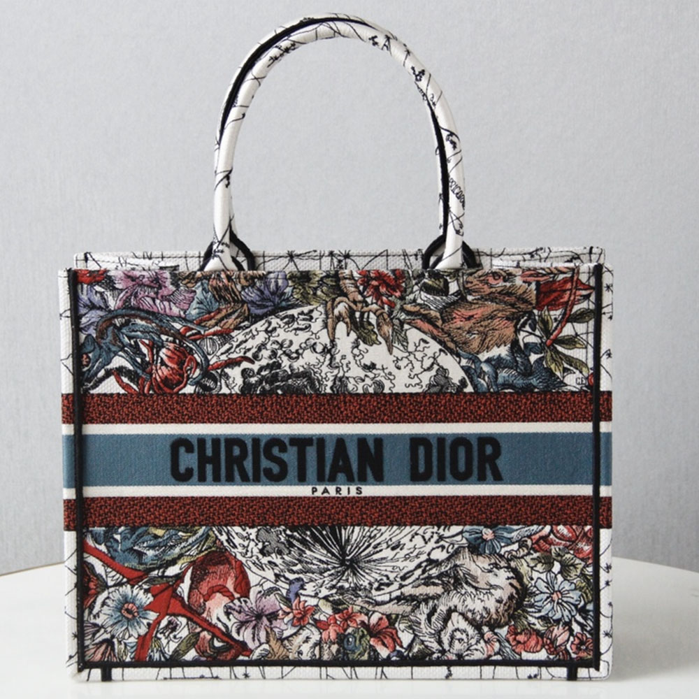 DIOR Book Tote Bags Collection(Replica)
