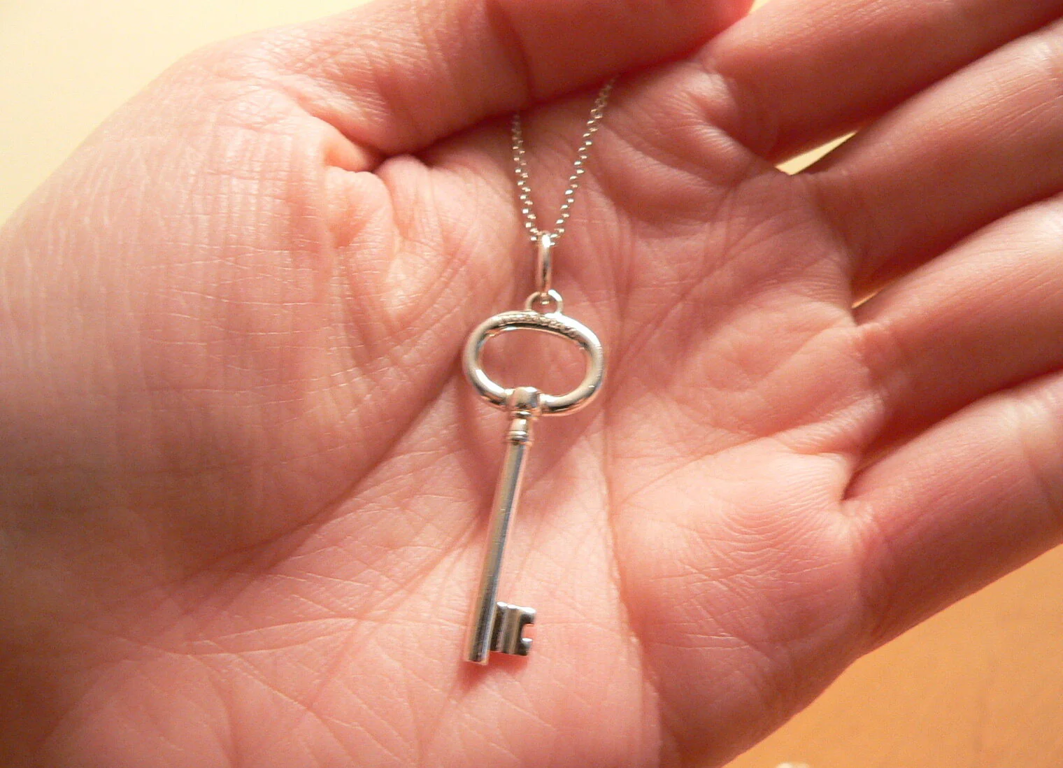 Tiffany & Co Silver Oval Key Necklace Pendant Charm 18 Inch Chain Gift Love Art