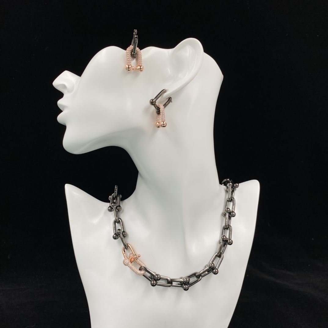 Tiffany HardWear Large Link Earrings