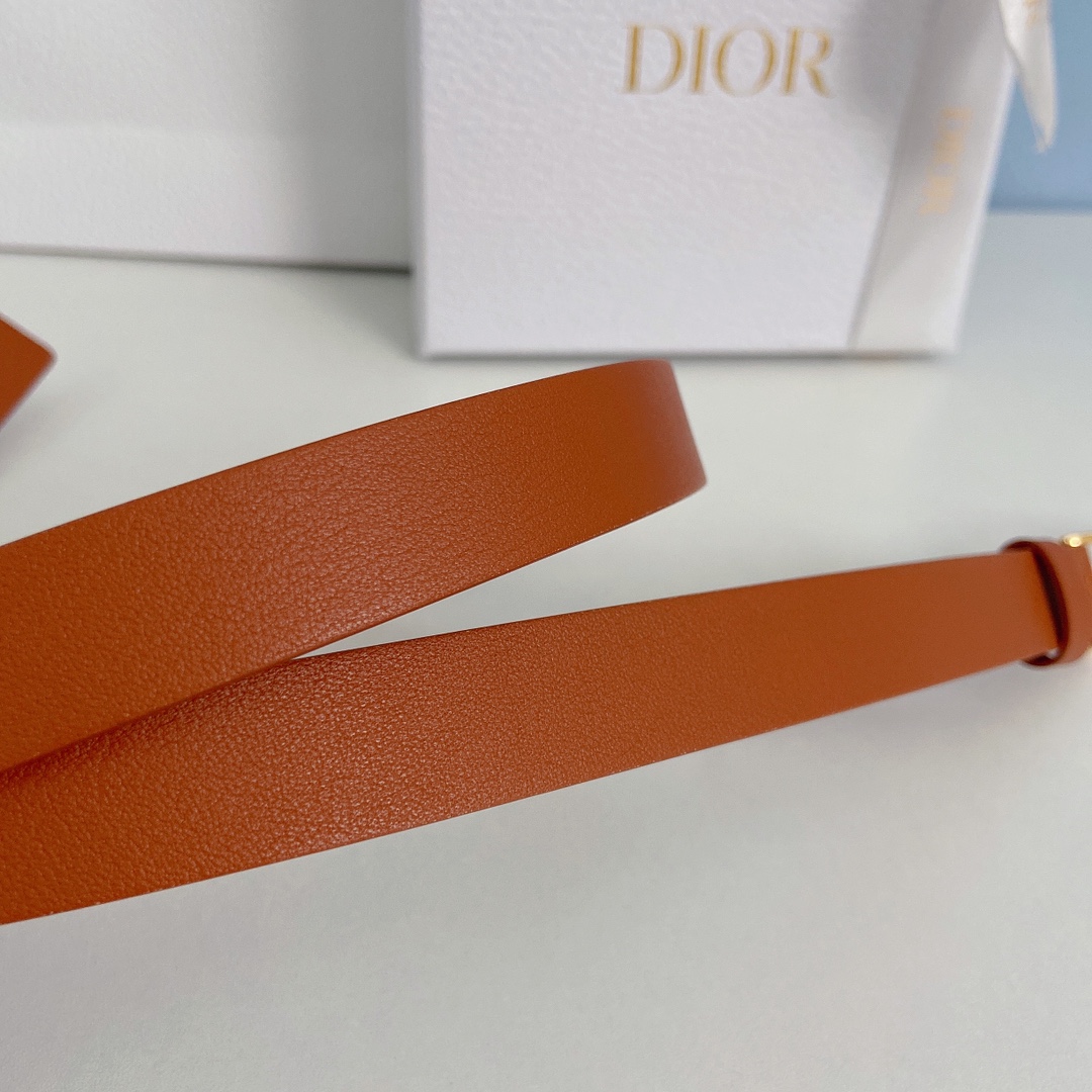 Dior Leather Belts 1:1 Mirror Version