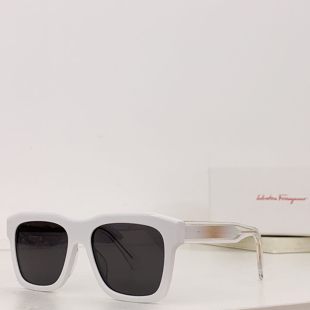 Ferragamo Sunglasses