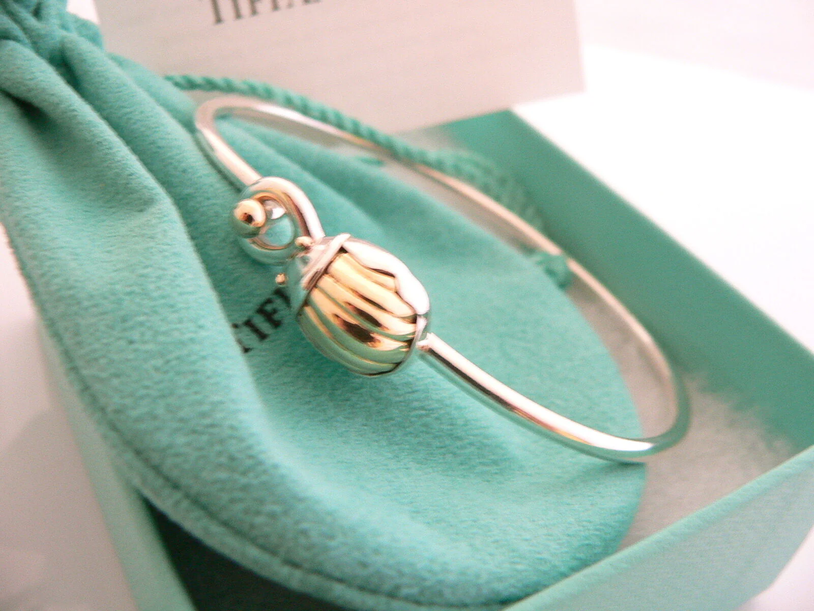 Tiffany & Co Bracelet Lucky Scarab Beetle Silver 18K Bangle Gift Pouch Love T Co