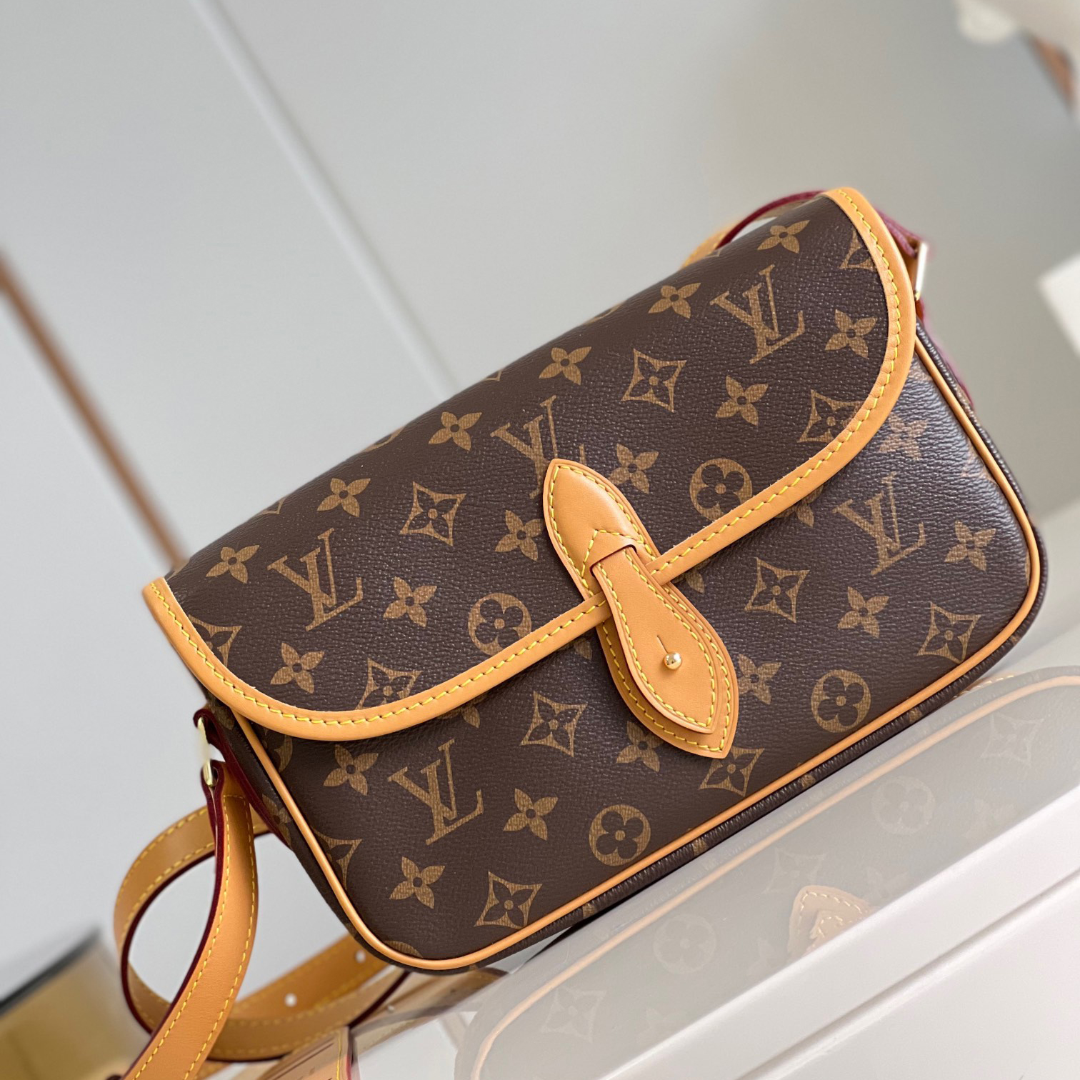 Louis Vuitton Gibeciere PM Shoulder Bag M42248