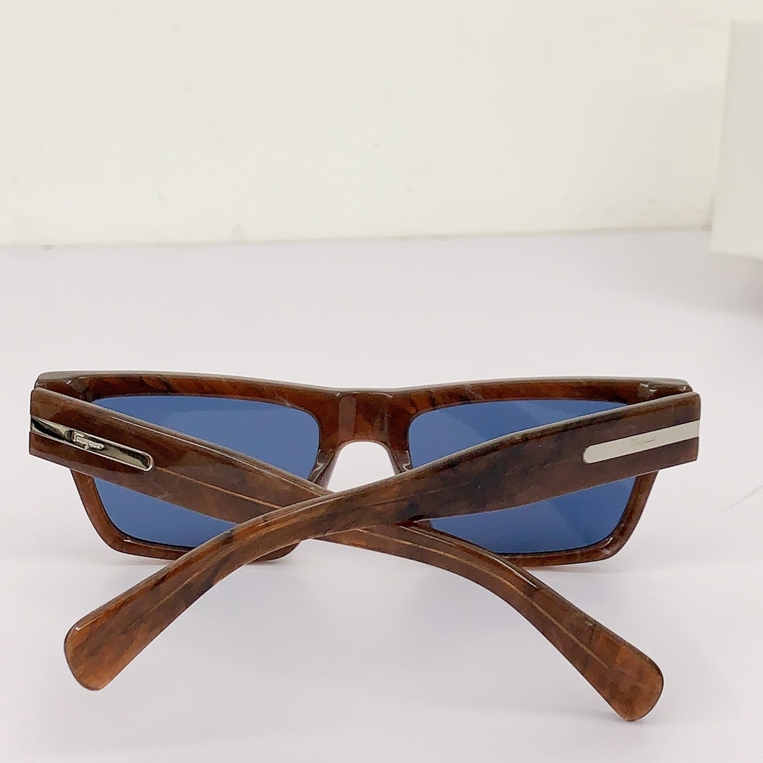 Ferragamo Sunglasses