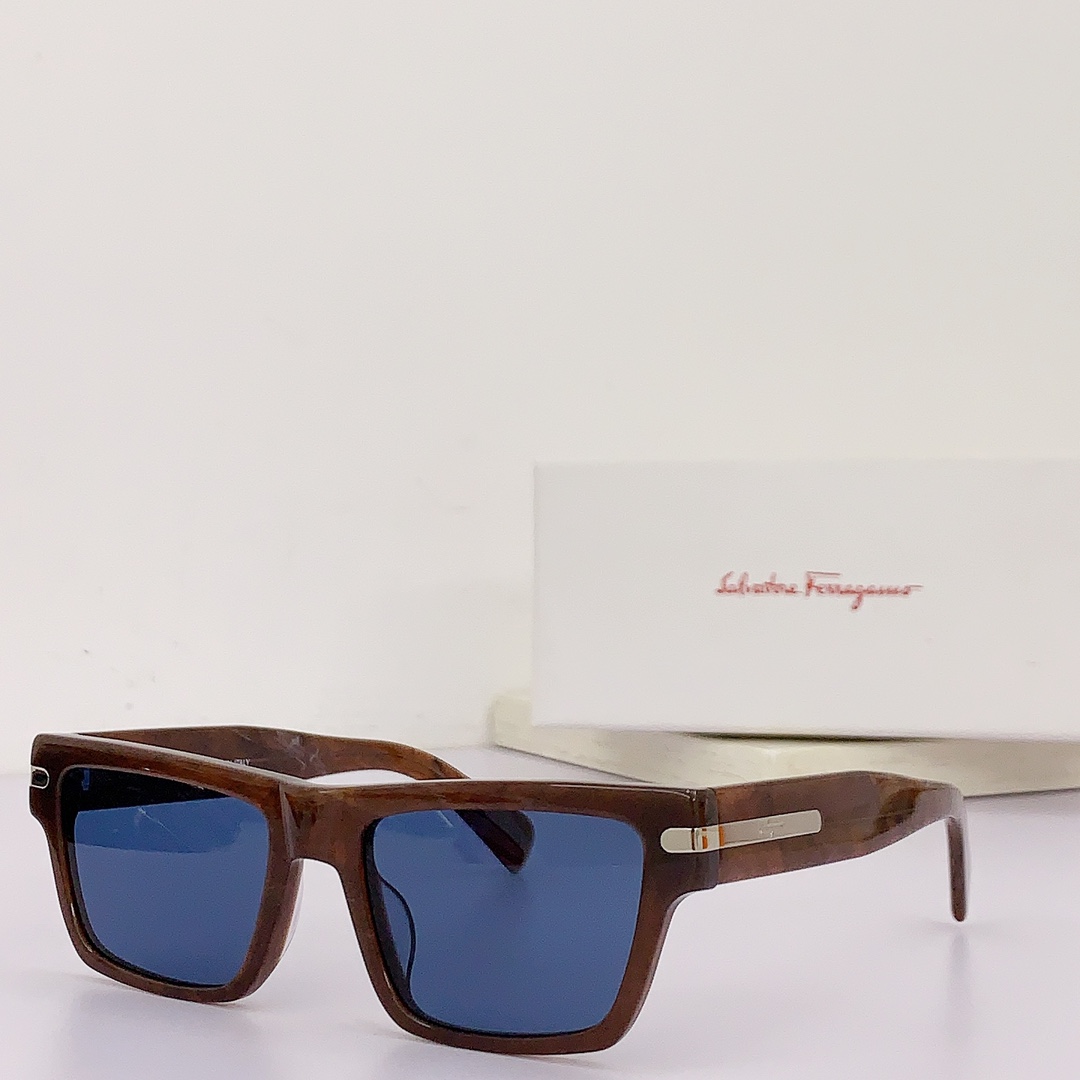 Ferragamo Sunglasses