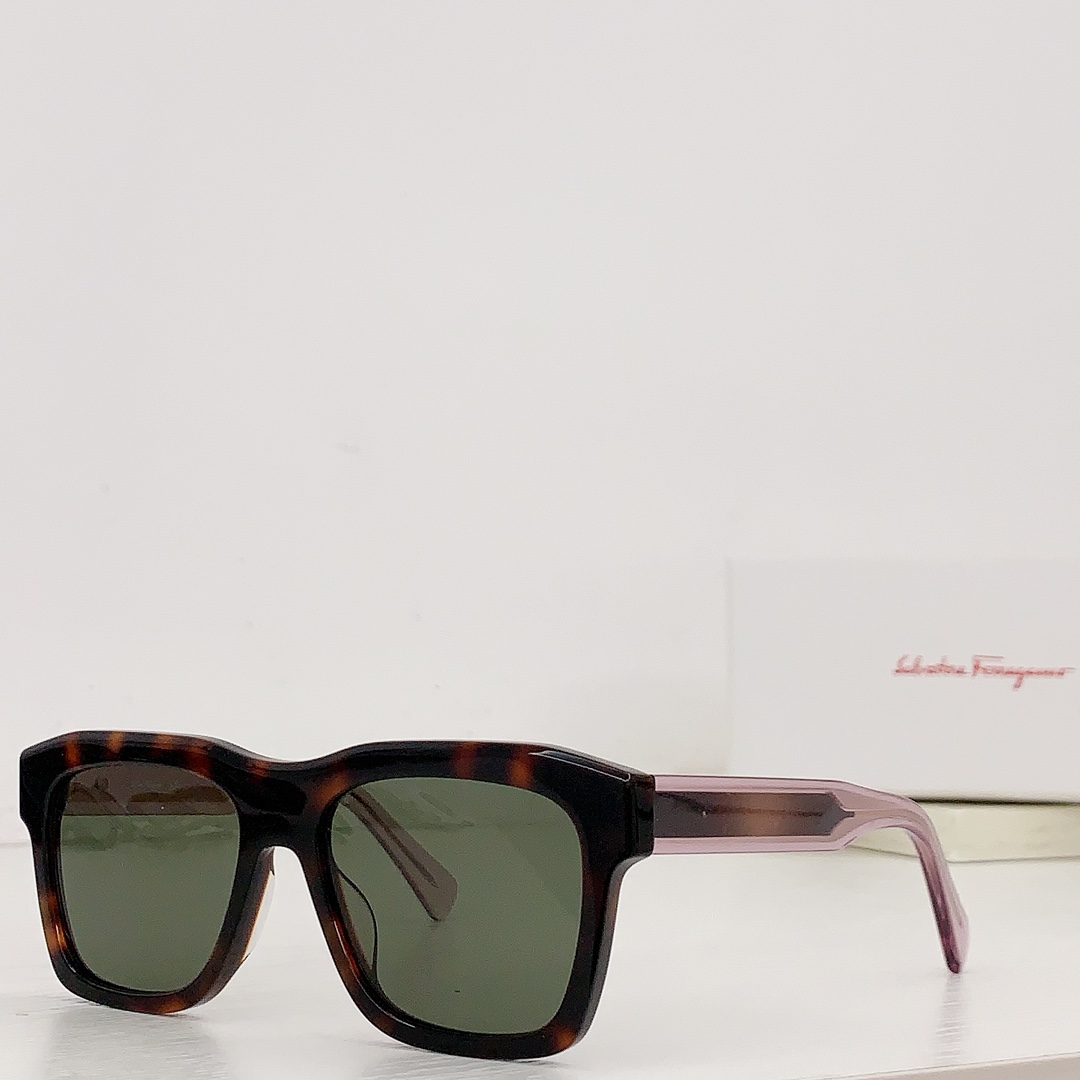 Ferragamo Sunglasses