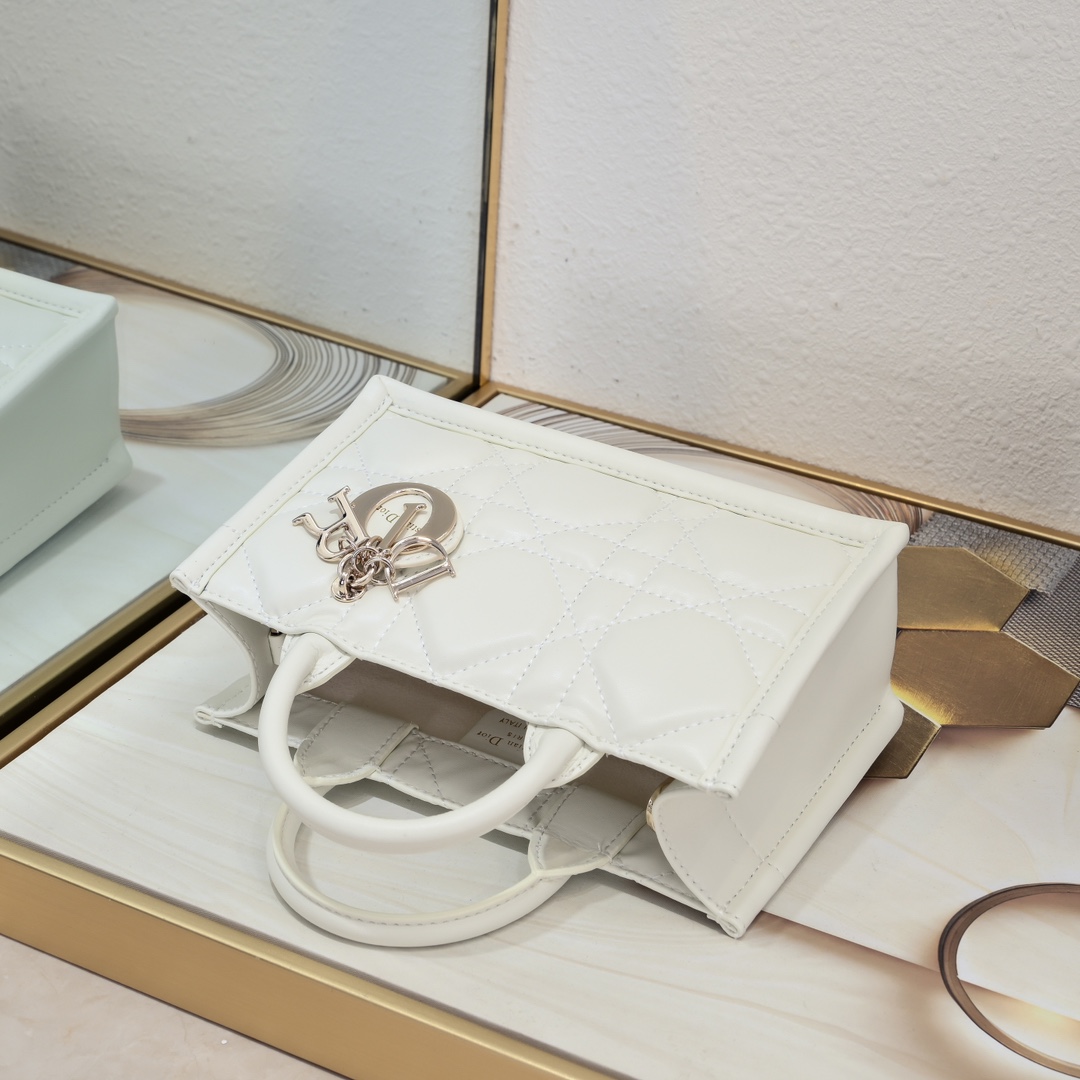 Dior Mini Book Tote Maria Grazia Chiuri design Shoulder Bag Handbag