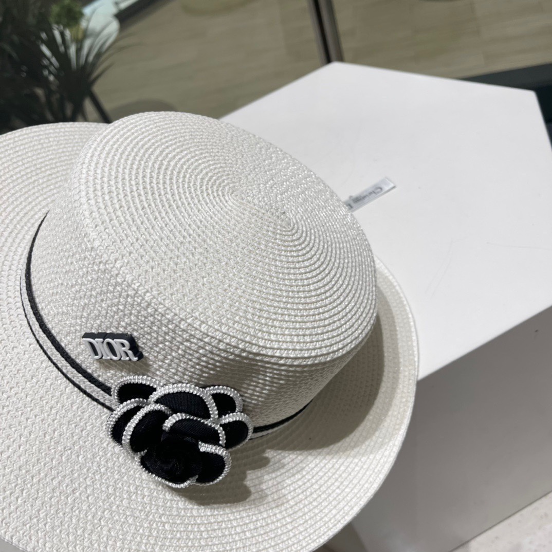 Dior Hats(Replica)