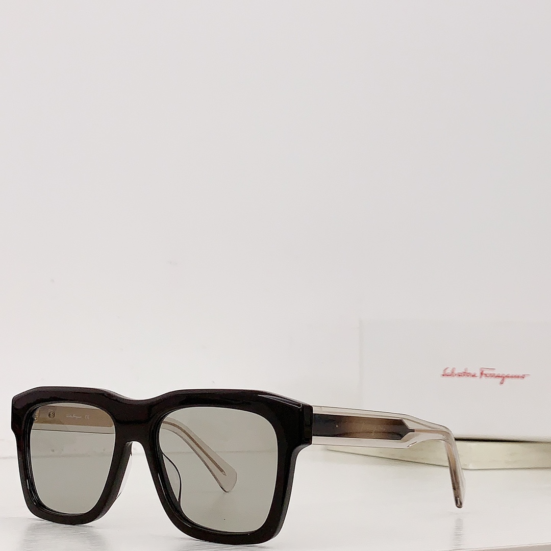 Ferragamo Sunglasses