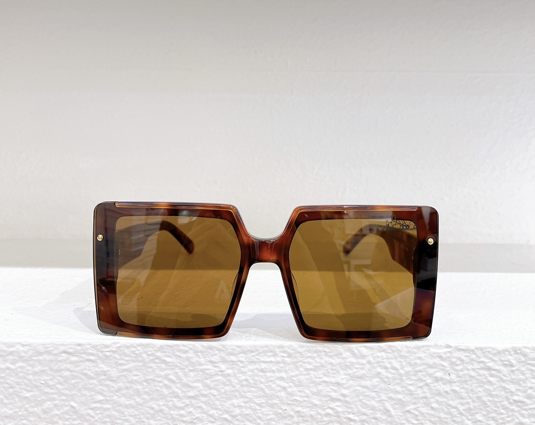 Hermes Sunglasses