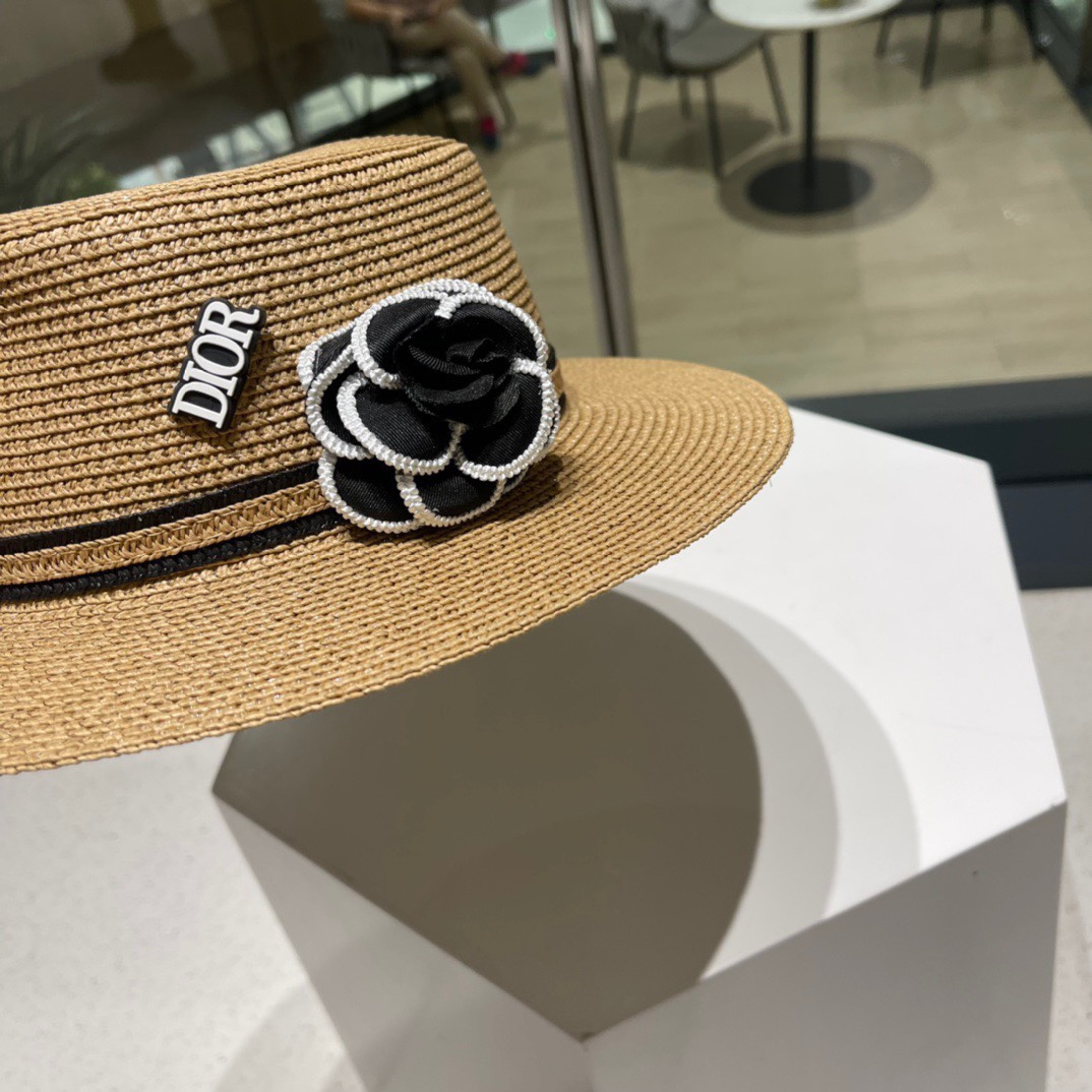 Dior Hats(Replica)