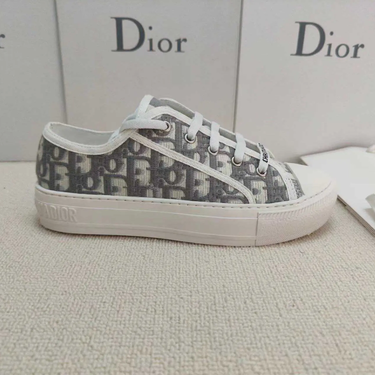 Dior Walk'n'Dior Shoes Sneaker (Replica)