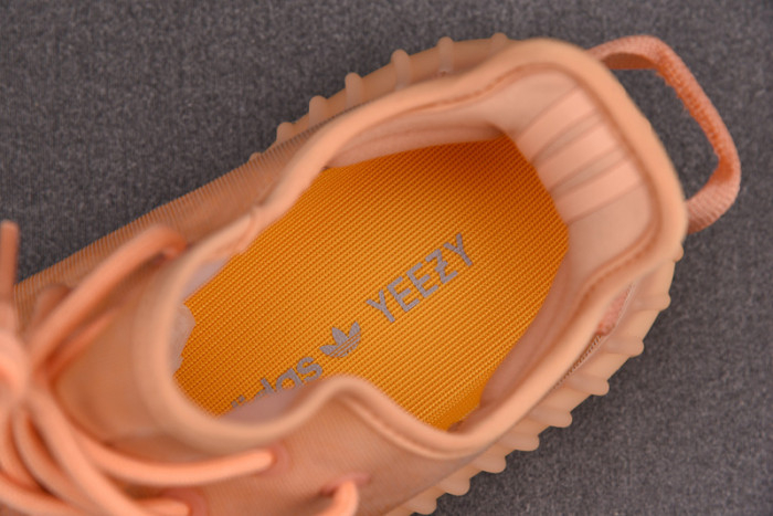 Yeezy Boost 350 V2 Mono Clay GW2870