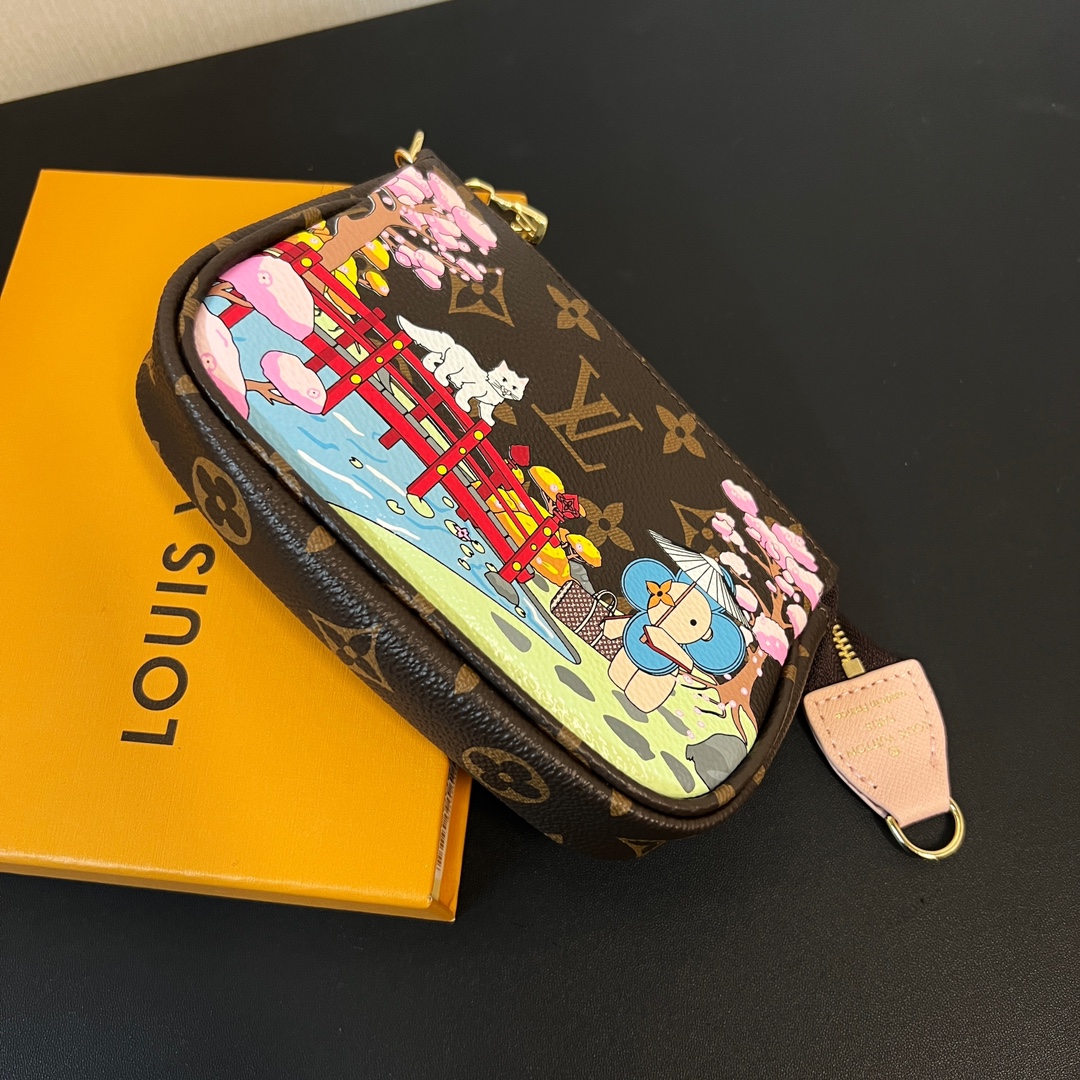 Louis Vuitton Multi Pochette Accessories Mini Bag Purse