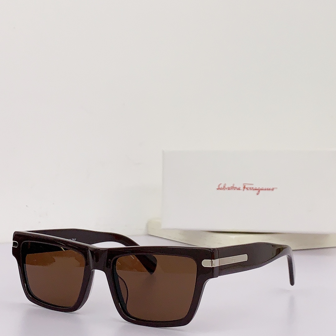 Ferragamo Sunglasses