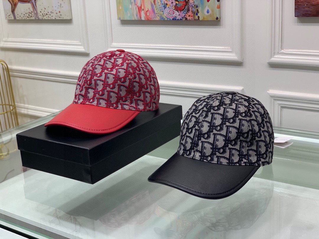 Dior Hats(Replica)