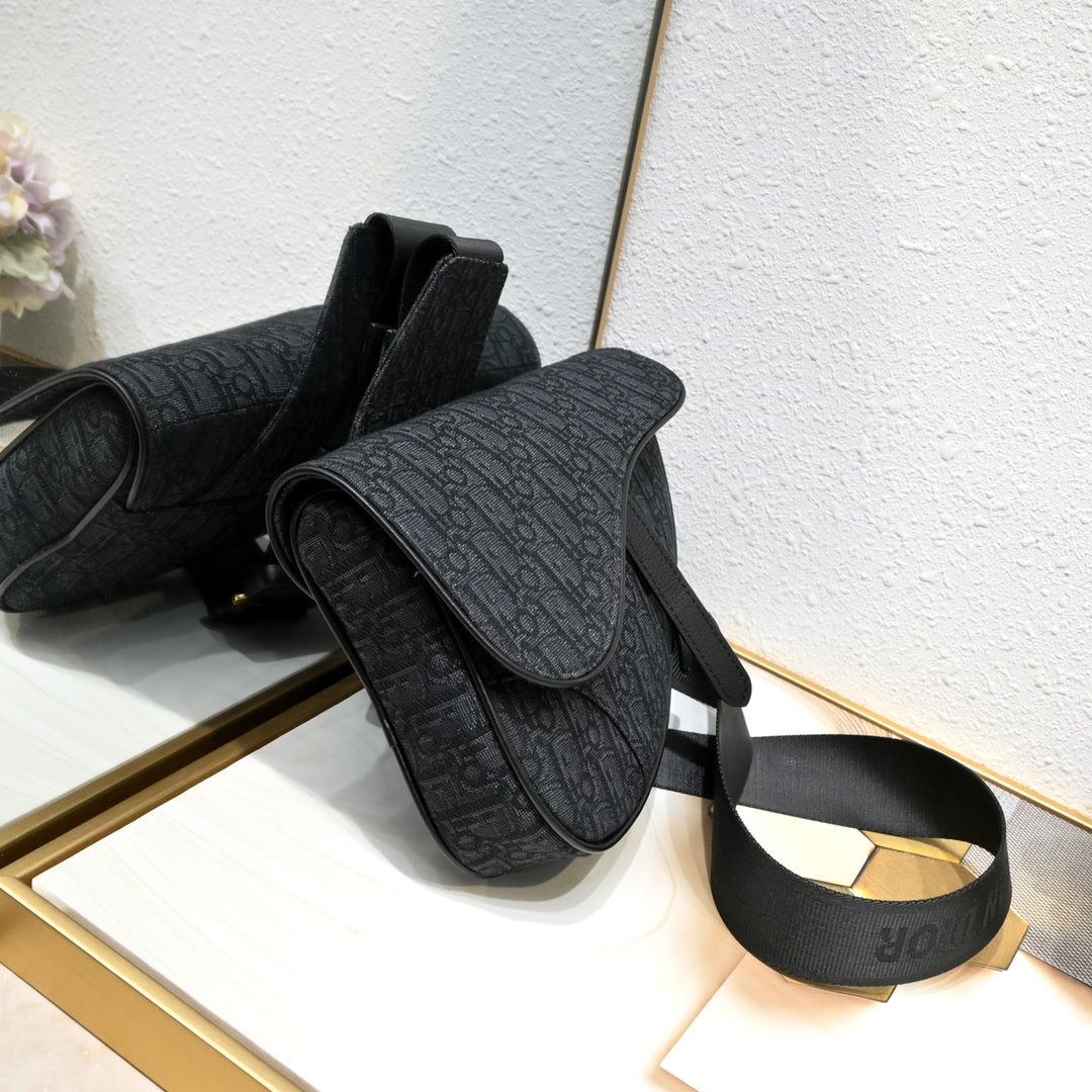 Dior Homme Pre-Fall Saddle Ophidia Shoulder Bag Handbag