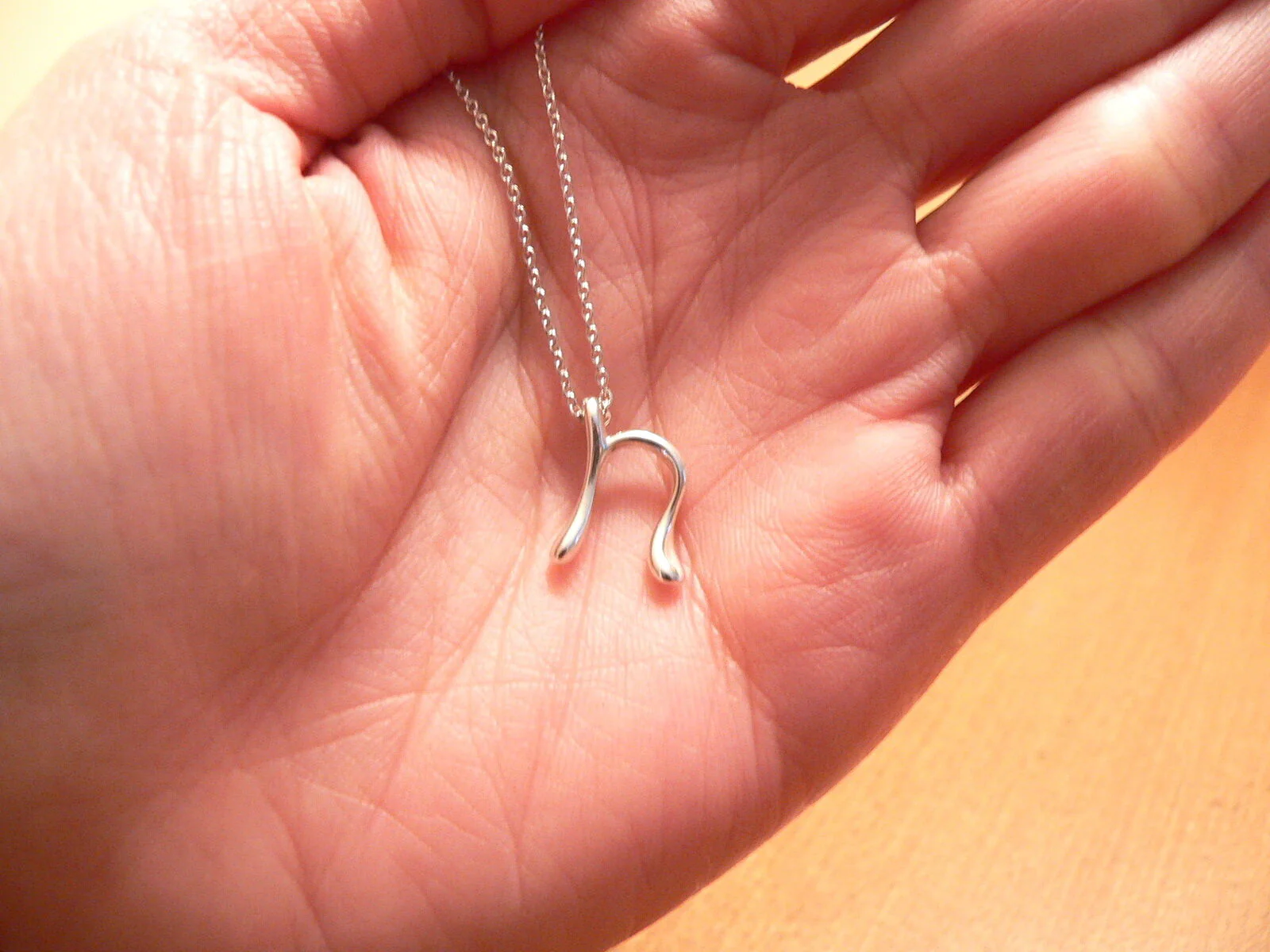 Tiffany & Co Silver Peretti Alphabet N Necklace Pendant Chain Charm Gift Love