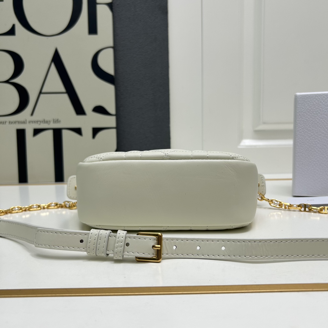 Dior Caro Camera Bags Shoulder Bag Handbag