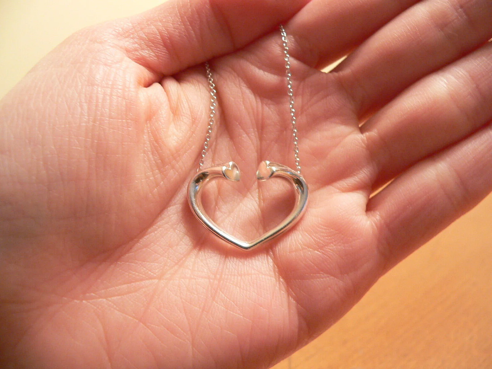 Tiffany & Co Tenderness Heart Necklace Pendant Charm Chain Picasso Large 17 Inch