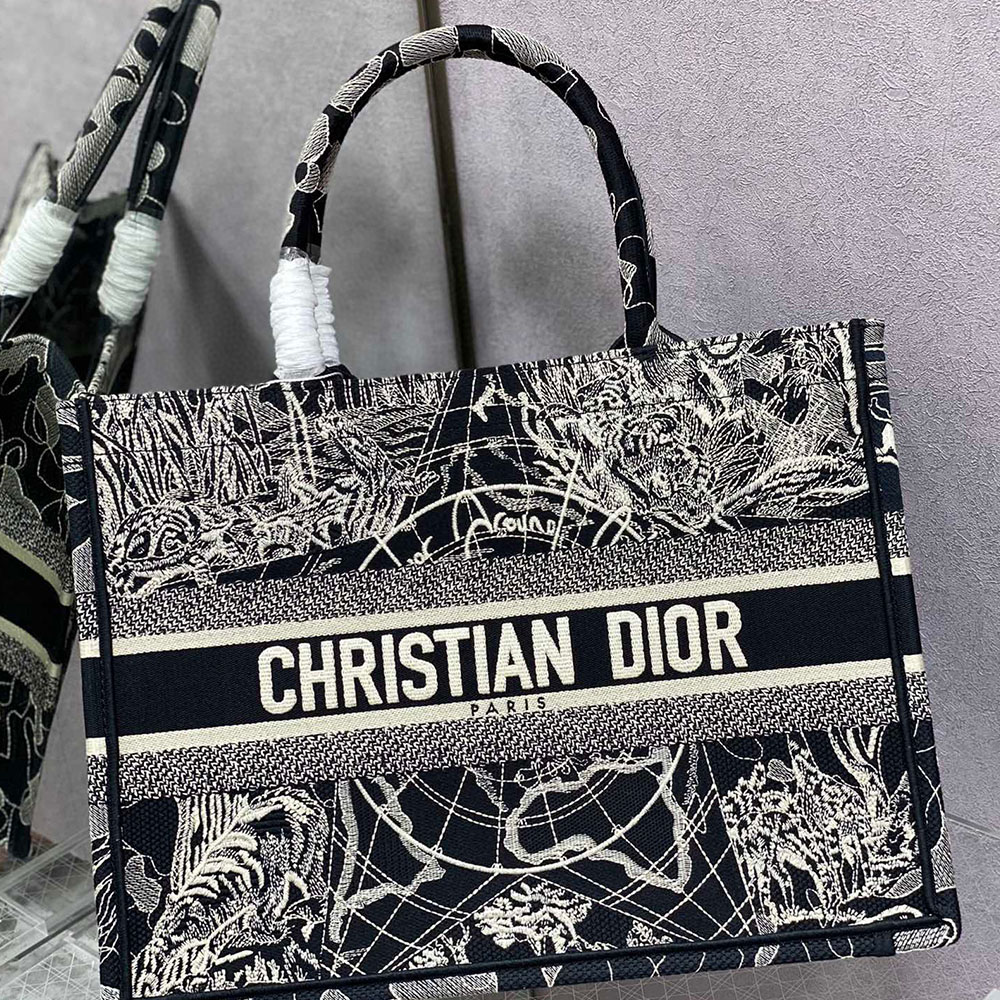 DIOR Book Tote Starlight&Star Tote Bags(Replica)