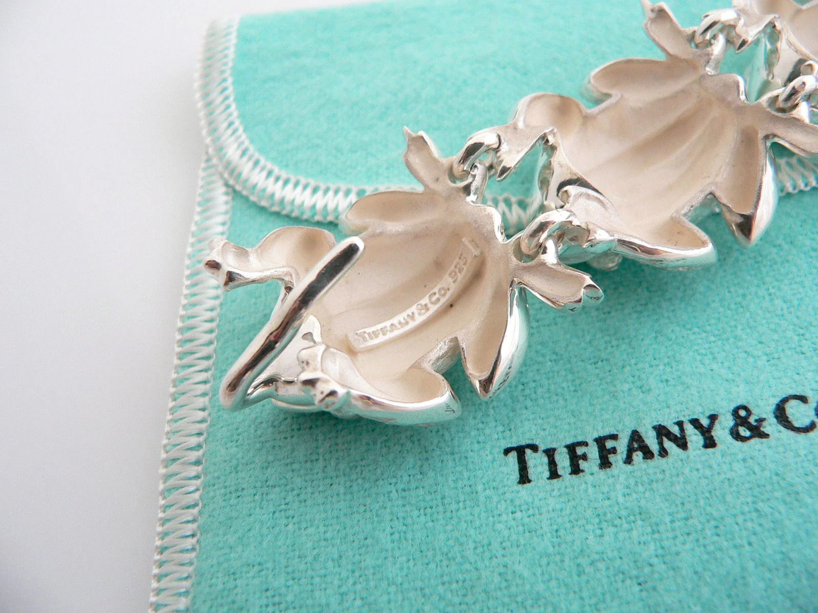 Tiffany & Co Frog Bracelet Silver Nature Link Bangle Clasp Love Gift Pouch Art