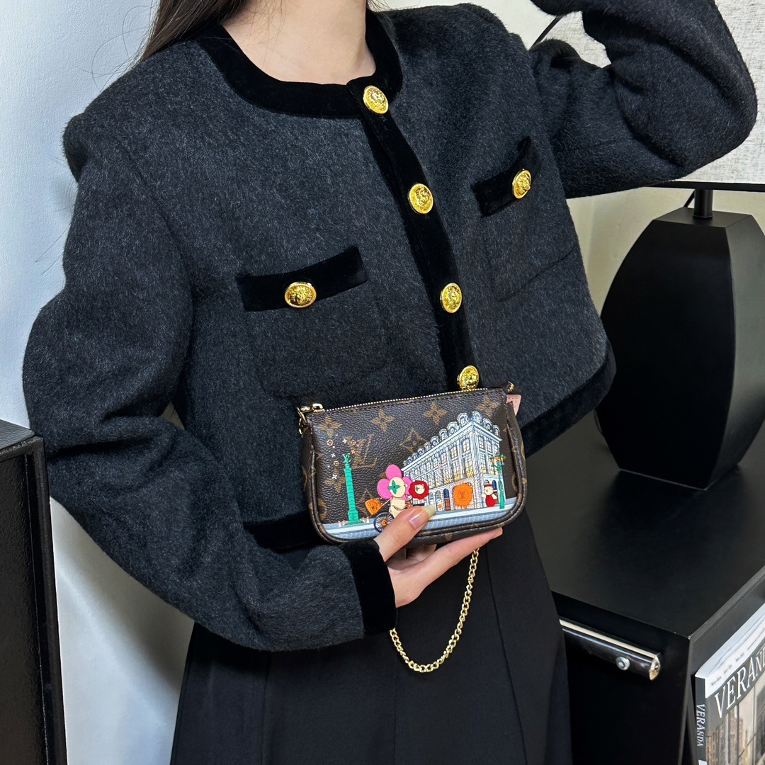 Louis Vuitton Multi Pochette Accessories Mini Bag Purse