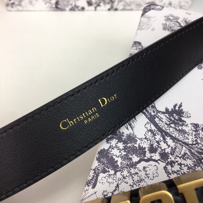 Dior Leather Belts 1:1 Mirror Version