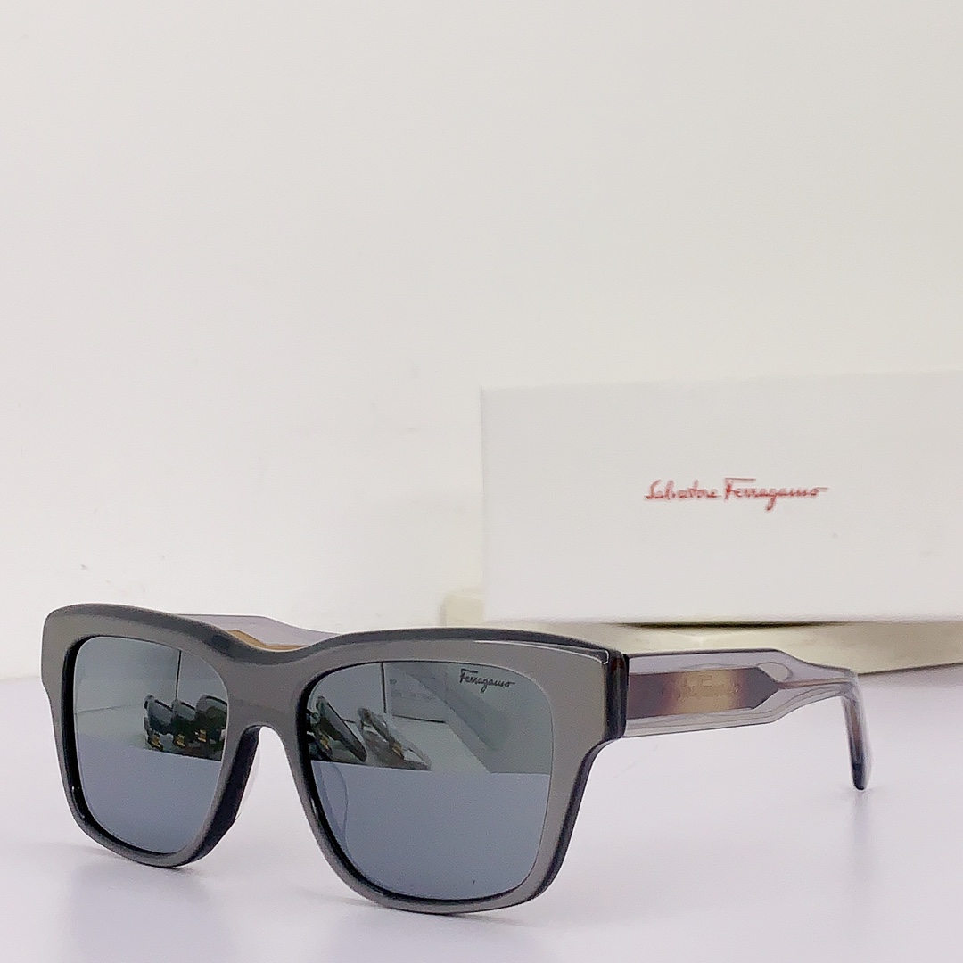 Ferragamo Sunglasses