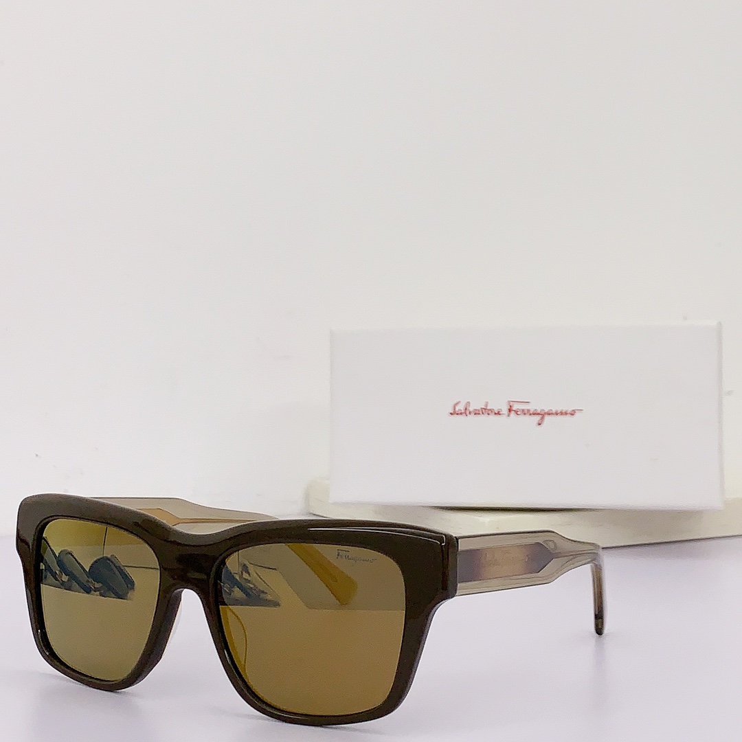 Ferragamo Sunglasses