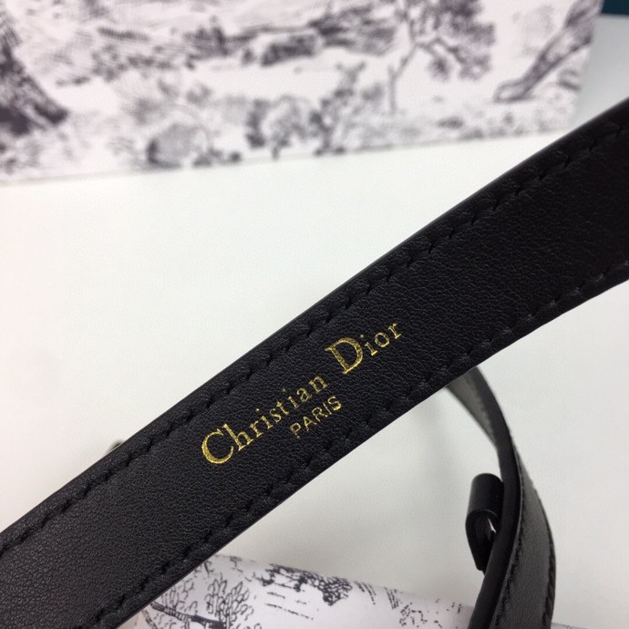 Dior Leather Belts 1:1 Mirror Version